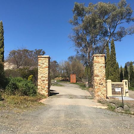 Vineyard Cottage Bnb Gumeracha Eksteriør billede