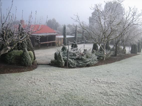 Vineyard Cottage Bnb Gumeracha Eksteriør billede