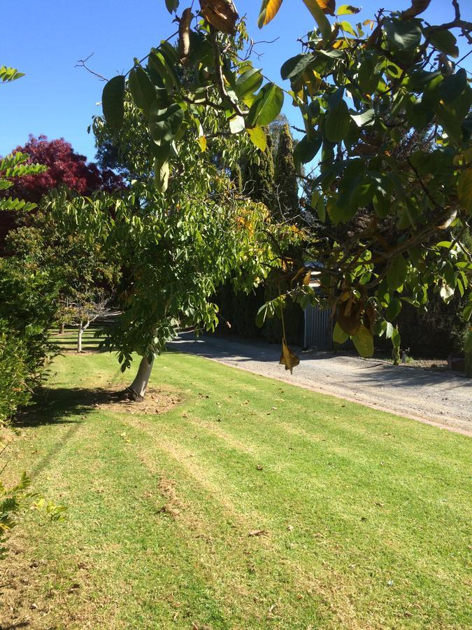 Vineyard Cottage Bnb Gumeracha Eksteriør billede